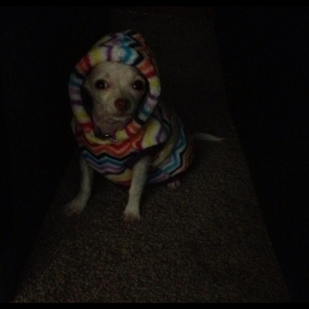 Meet your Posher, Ana